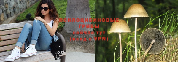 спиды Белокуриха